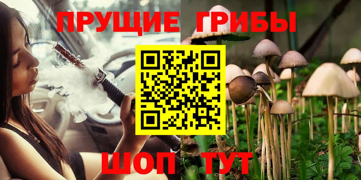 Дербент  Псилоцибиновые грибы ЛСД  купить наркотики цена  Вход с VPN  Галлюциногенные грибы GOLDEN TEACHER 