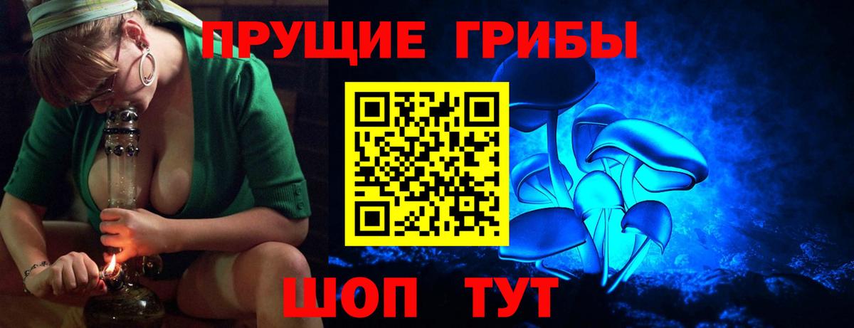 Псилоцибиновые грибы прущие грибы Дербент